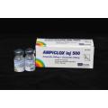 Ampicilina e Cloxacillin para injeção