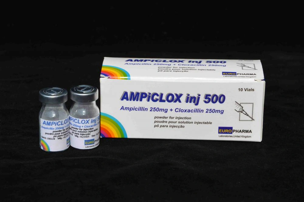 ampicillin antibiotic 300mg