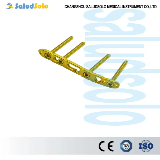 VA Distal Lateral Radius Locking Plate