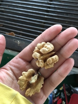 Selling High Quality Walnut