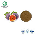 Freeze Dried Ficus Carica Juice Fruit Fig Powder