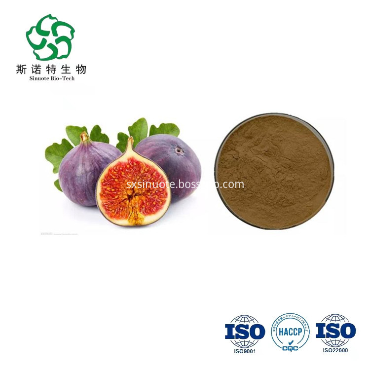 Freeze Dried Ficus Carica Juice Fruit Fig Powder, High Quality Freeze Dried Ficus Carica Juice