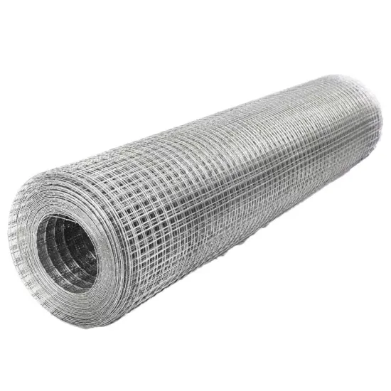 Factory Direct Sale: Galvanized Wire Mesh & Welded Wire Mesh