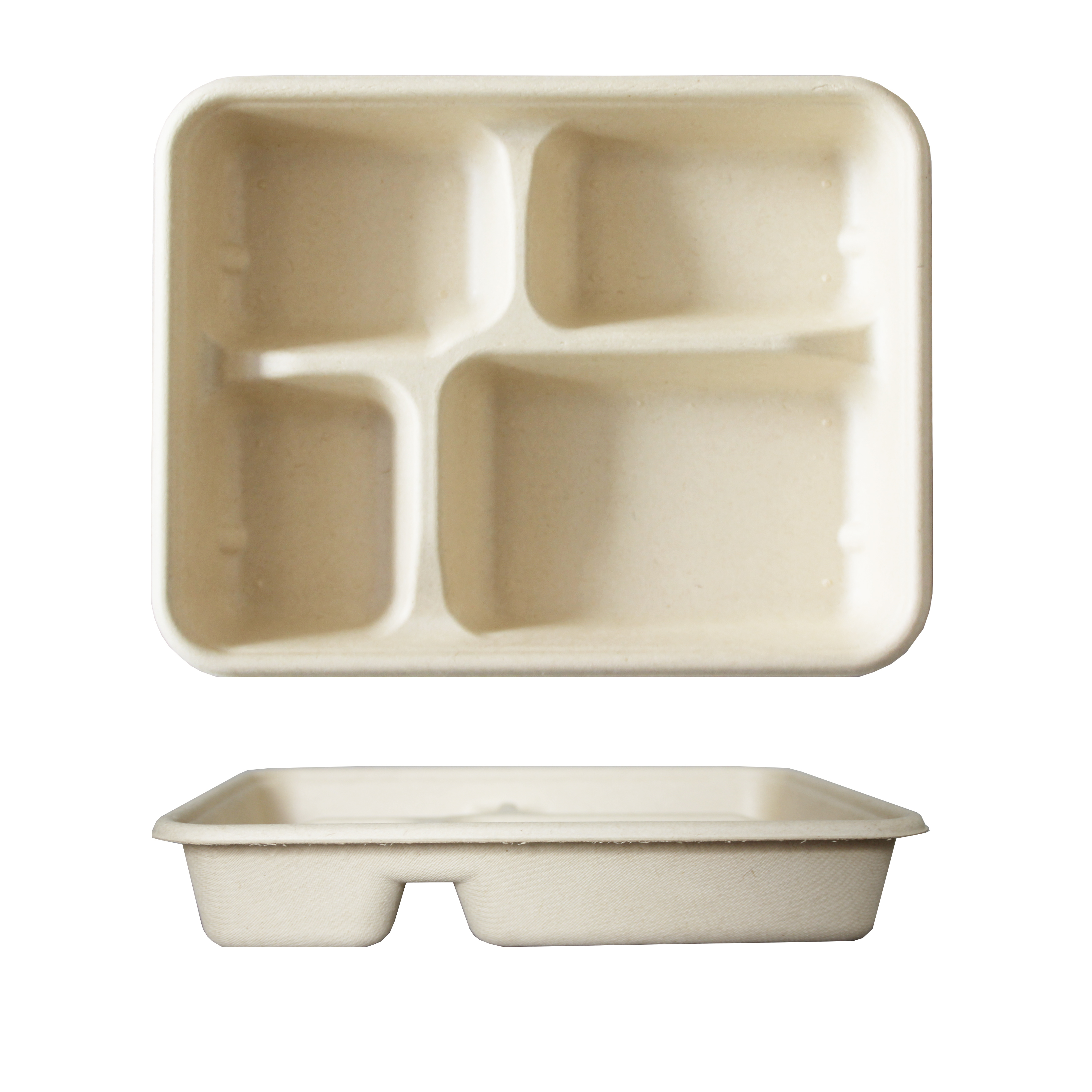 Biodegradable Food Container