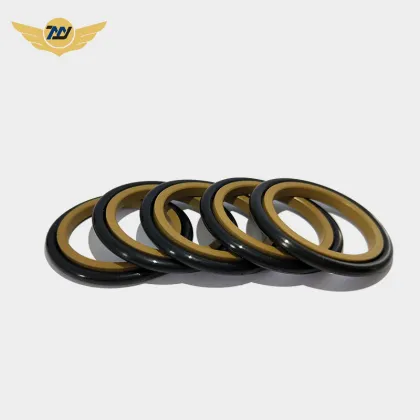 Hydraulic cylinder ptfe piston shaft GSI seals