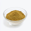 Fucus Vesiculosus Extract for Promote Growth Extract