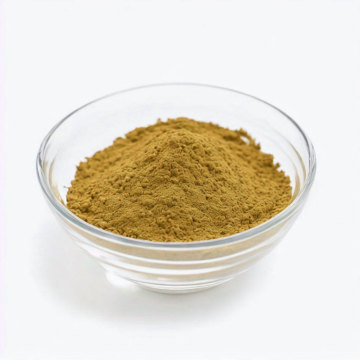 hot sale high quality fucus vesiculosus extract