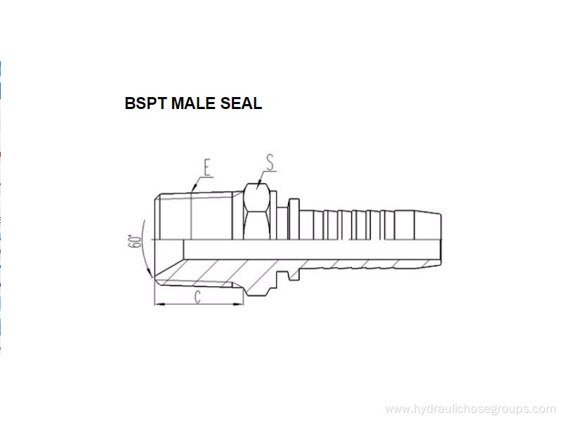 BSPT Male Seal 13011-SP