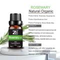 High Quality Rosemary Essential Oil for Hair Growth