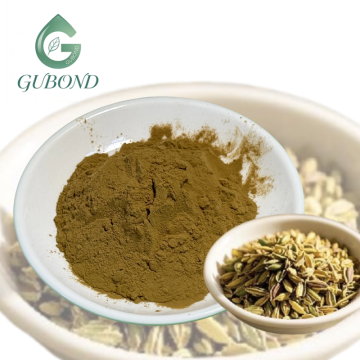 Fennel Extract for Dietary Supplements