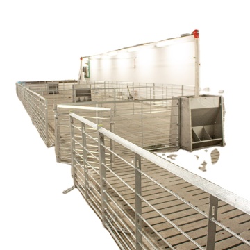 Pig Equipment for Fattening Stalls and Boar Pens