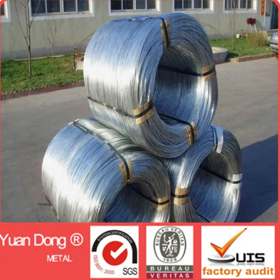 China wire mesh factory galvanized wire ISO9001 manufacturer