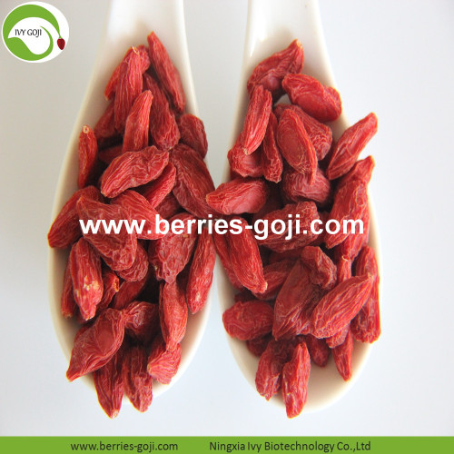 Dostawy fabryczne Owoce Premium Non GMO Goji Berries