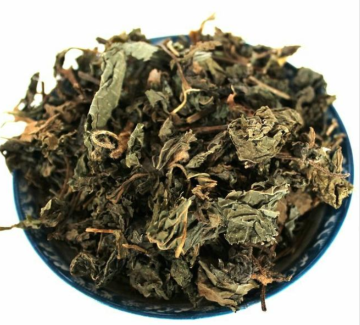High Quality Perilla leaf