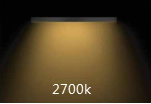 2700K RGB IP68 led strip