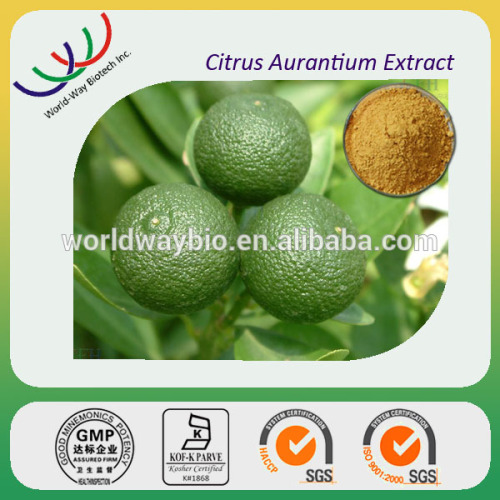 100% pure Chinese traditional medicine citrus aurantium extract / 6% ~30% synephrine by HPLC