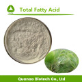 Saw Palmetto Extract Powder Ácido graso de palma 45%