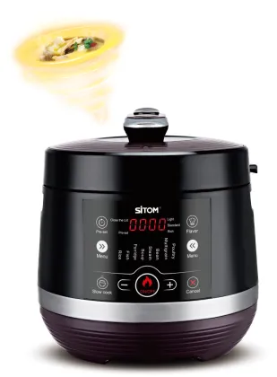 Electric Pressure Cooker With Plastic Appearance