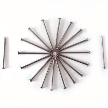 Cheap common iron wire nails,polished nails,common nails with good quality