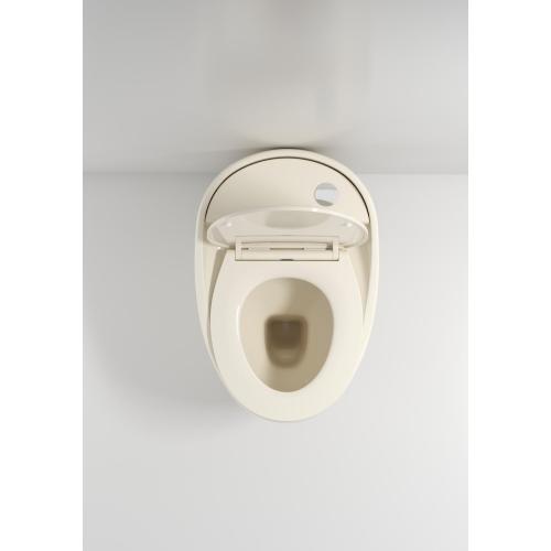 Bathroom Sanitary Ware Ivory One Piece Chinese Closet