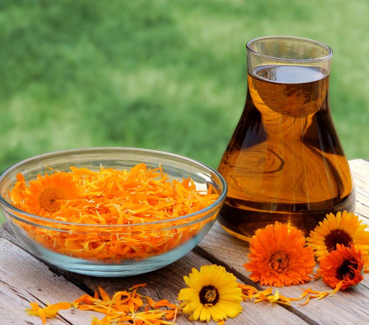 Calendula de calêndula em massa Officinalis Carrier Oil Marigold Oil Fornessale