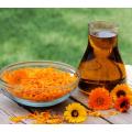 Calendula de calêndula em massa Officinalis Carrier Oil Marigold Oil Fornessale