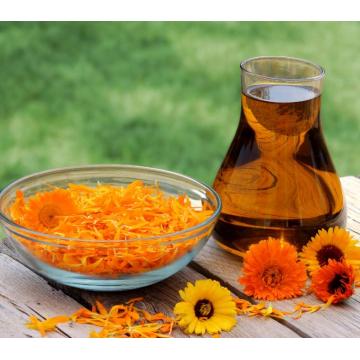 Calendula de calêndula em massa Officinalis Carrier Oil Marigold Oil Fornessale