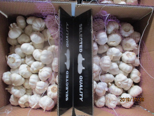 Crop 2019 Pure Garlic