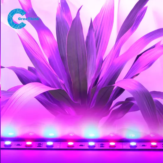 SMD5050  LED Plant Grow Rigid Light