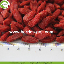 Buy Natural Nutrition Dried Fruit Lycium Chinense