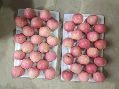 Chinese Fuji Apple Direct Supply!!