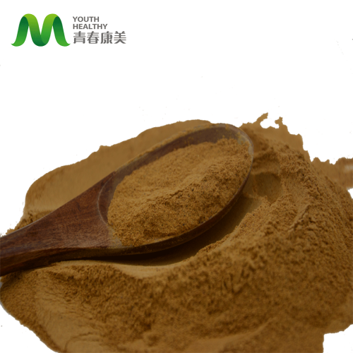 Bulk Hericium Erinaceus Mushroom Extract