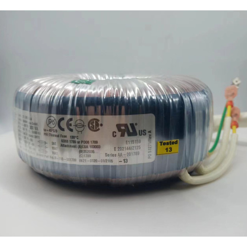 Cruth-atharrachaidh cumhachd torrach 300va