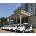 5-seater open lithium battery car