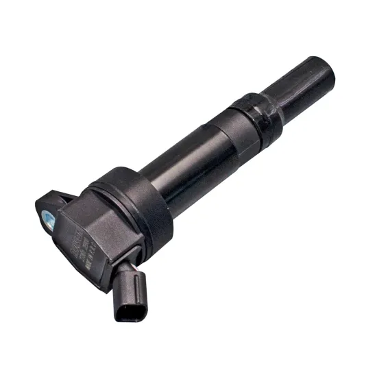 DS1879 27301-2E000 Manufacturer Auto Ignition Coil for Hyundai Elantra, Tucson, Kia Forte, Soul 1.8 2.0 Cars