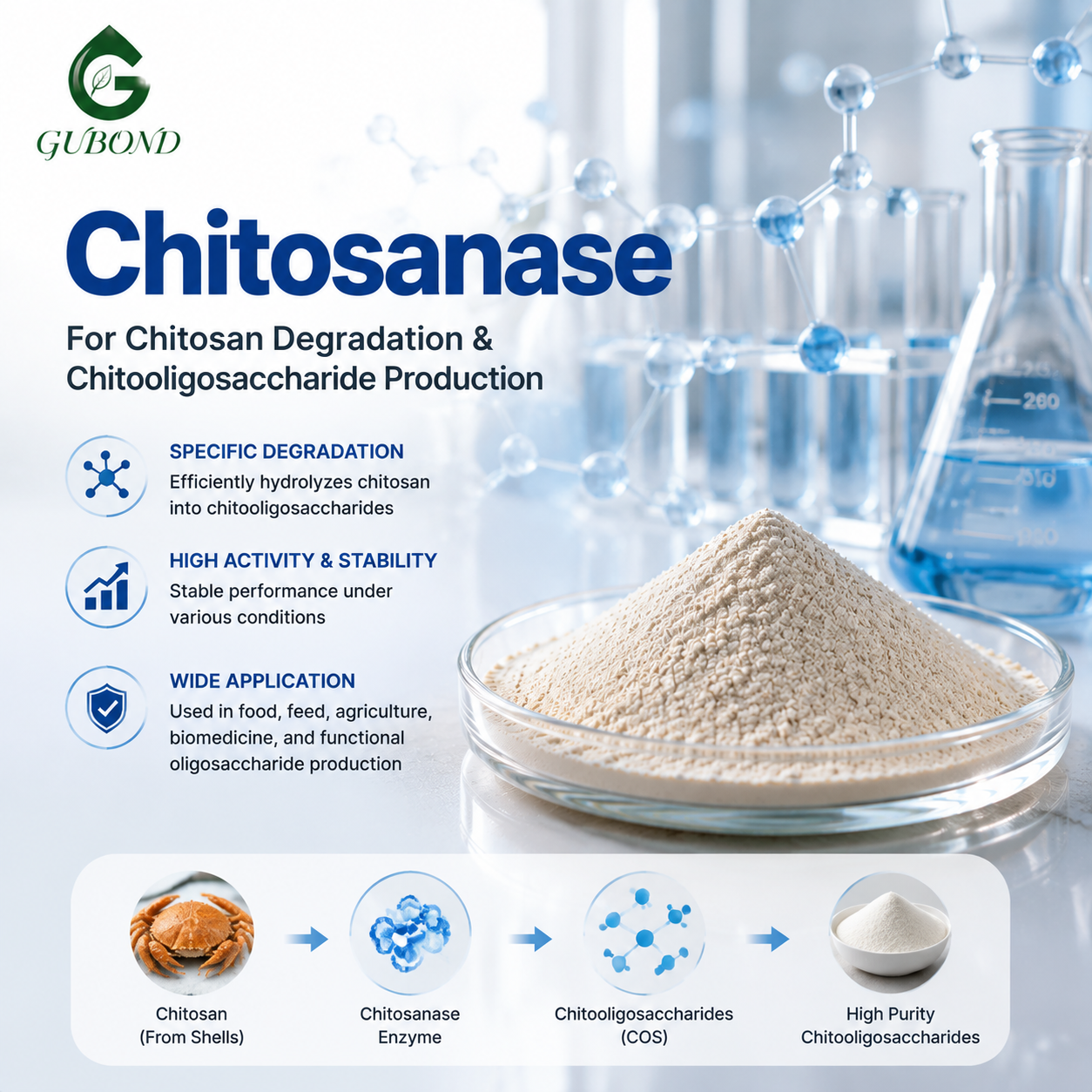 Chitosanase
