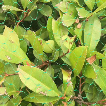 Red de embalaje extruida verde duradera de buena calidad