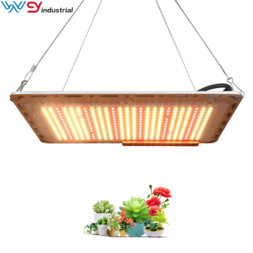 Newest QB350 120W lm301b quantum led grow light