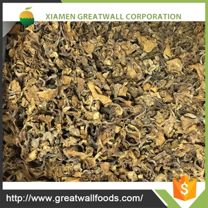 Whole Wild frozen chanterelle mushroom
