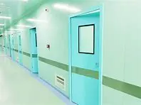 Wholesale Manual Quiet Clean Purification Door