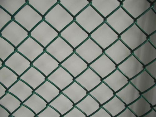 PVC Coated Galvanized Chain Link Fence/ Chain Link Wire Mesh