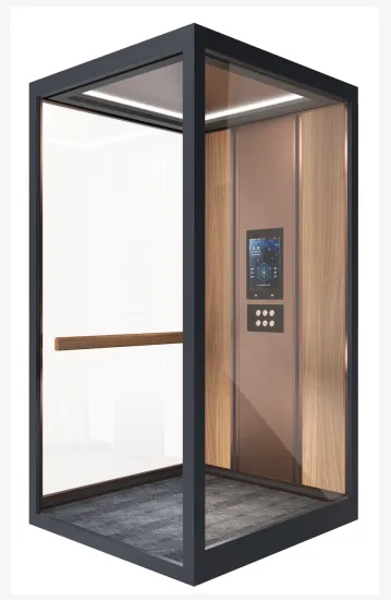 Vvvf General Passenger Elevator with Cheap Price
