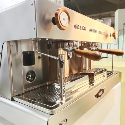 Wega Pegaso Picasso Double Head E61 Italian Semi-automatic Espresso Machine