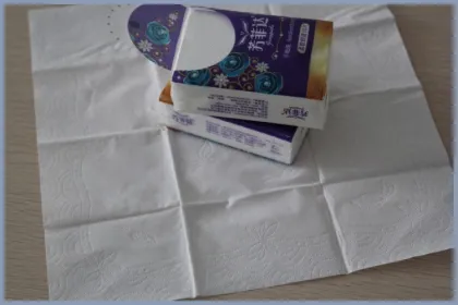 Natural White Mini Paper Handkerchief