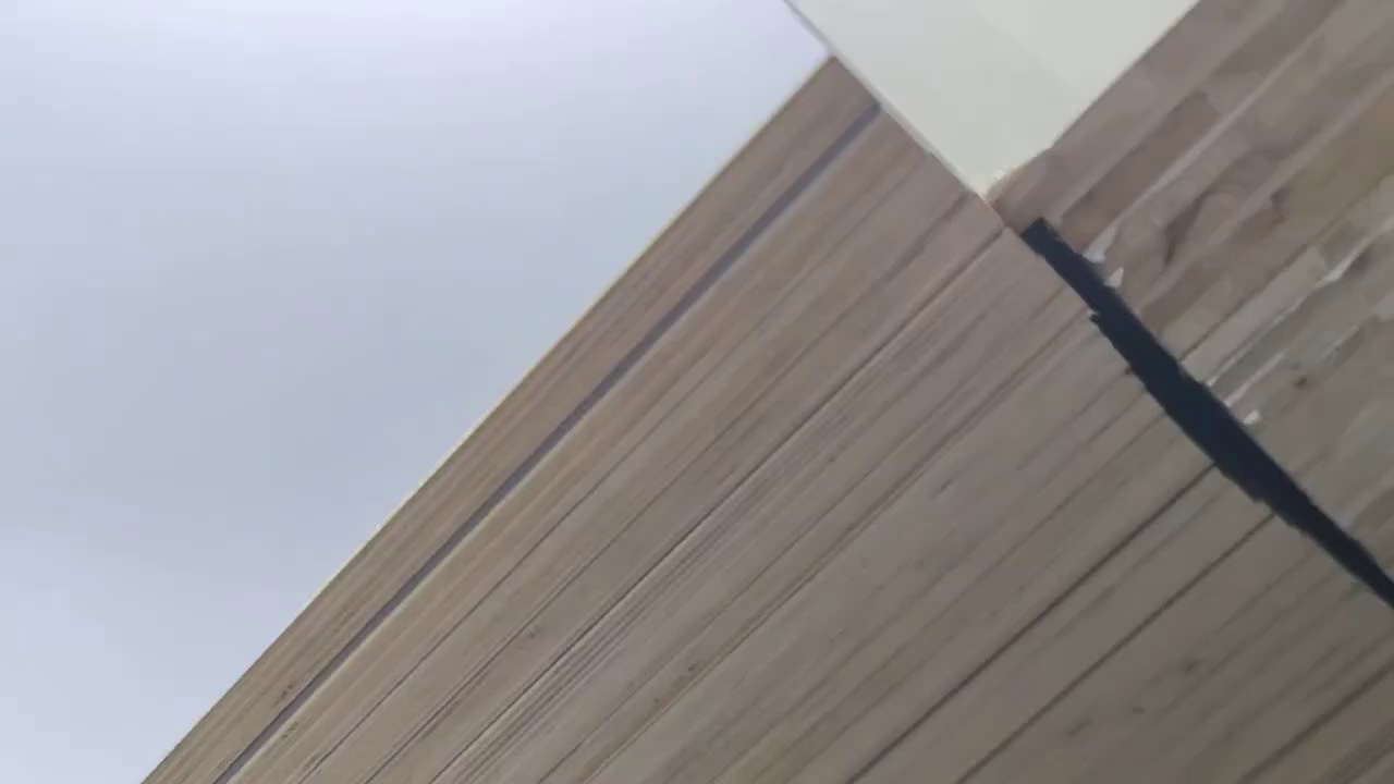 White Melamine Overlay Laminate Faced Plywood