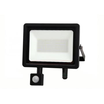 Alu+Glass Motion Sensor Flood Light con telecomando