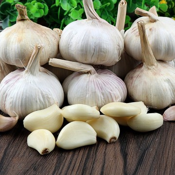 2025 সিজনিং উদ্দেশ্যে প্রাকৃতিক শুকনো রসুন
