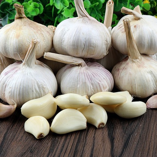 سیر خشک طبیعی 2025 برای اهداف چاشنی