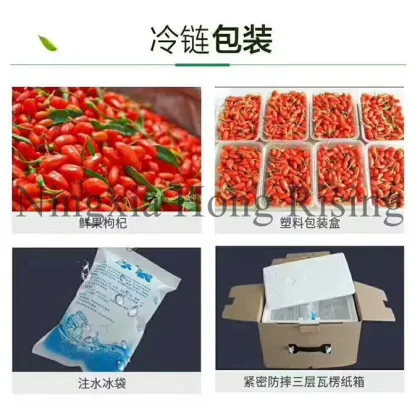 Fresh Himalayan goji berries wild wolfberries