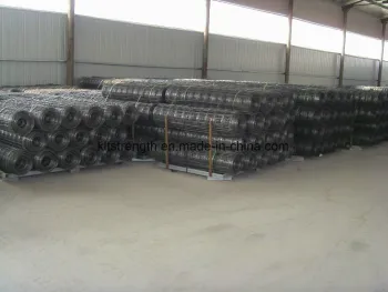 Rolls of Welded Wire Mesh6"X6"